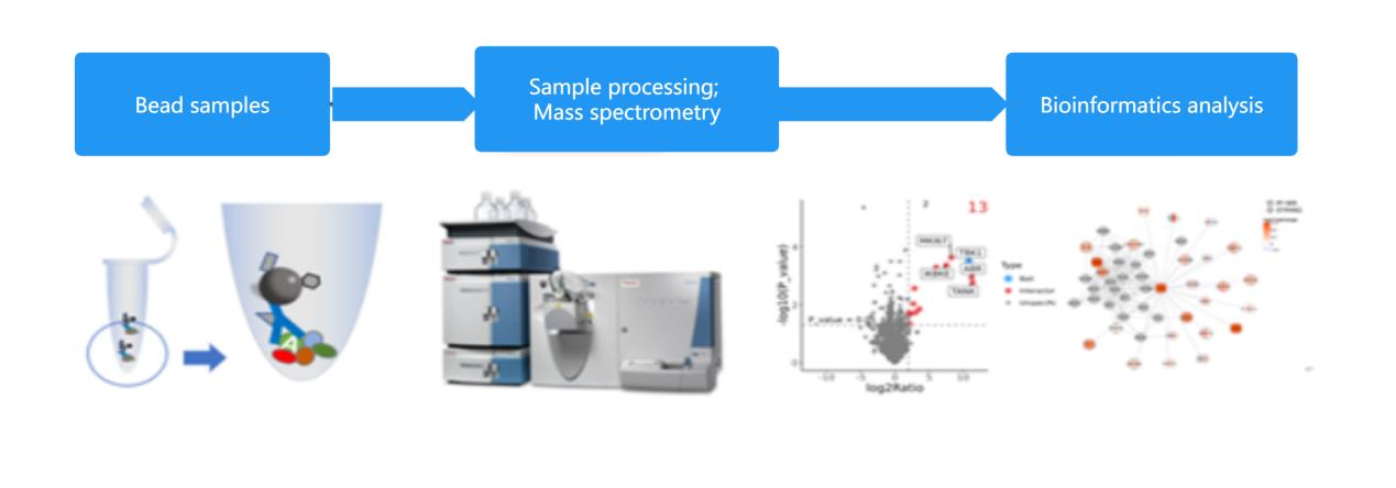 Principle of the ImmunoPrecipitation followed by Mass Spectrometry (IP-MS) technique.