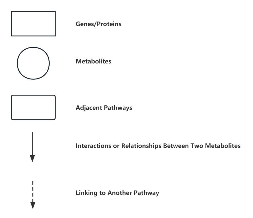 KEGG Annotation Analysis Service