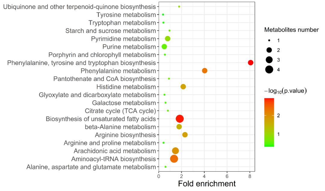 KEGG Annotation Analysis Service