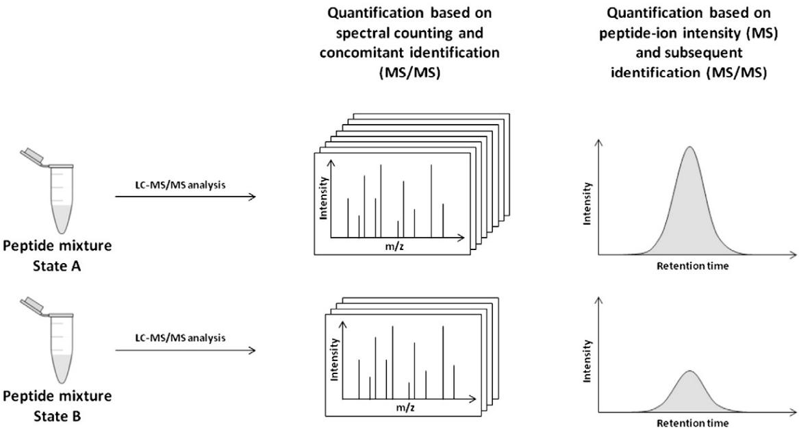 Schematic representation of the two different label-free approaches