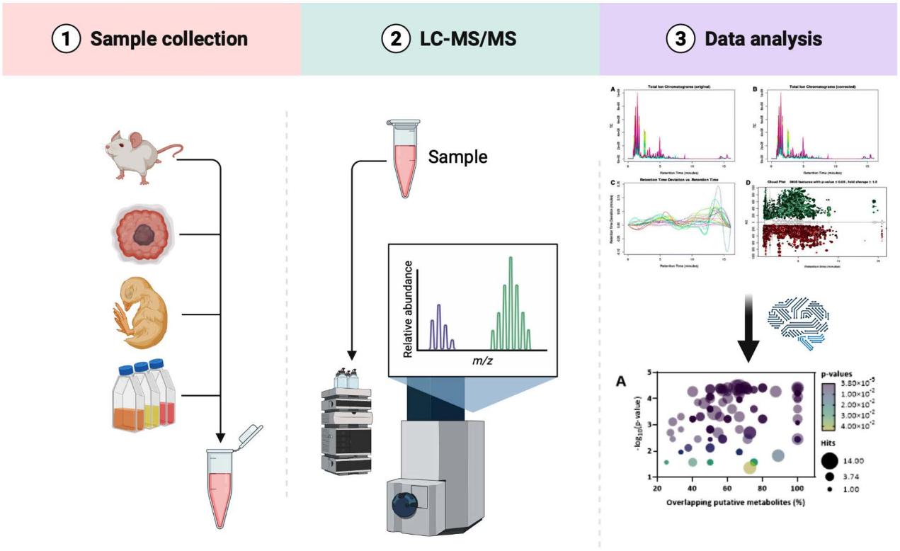 An Optimised MS-Based Versatile Untargeted Metabolomics