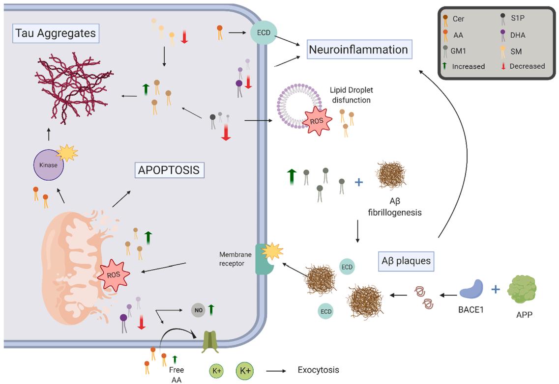 Lipids in Alzheimer's Disease