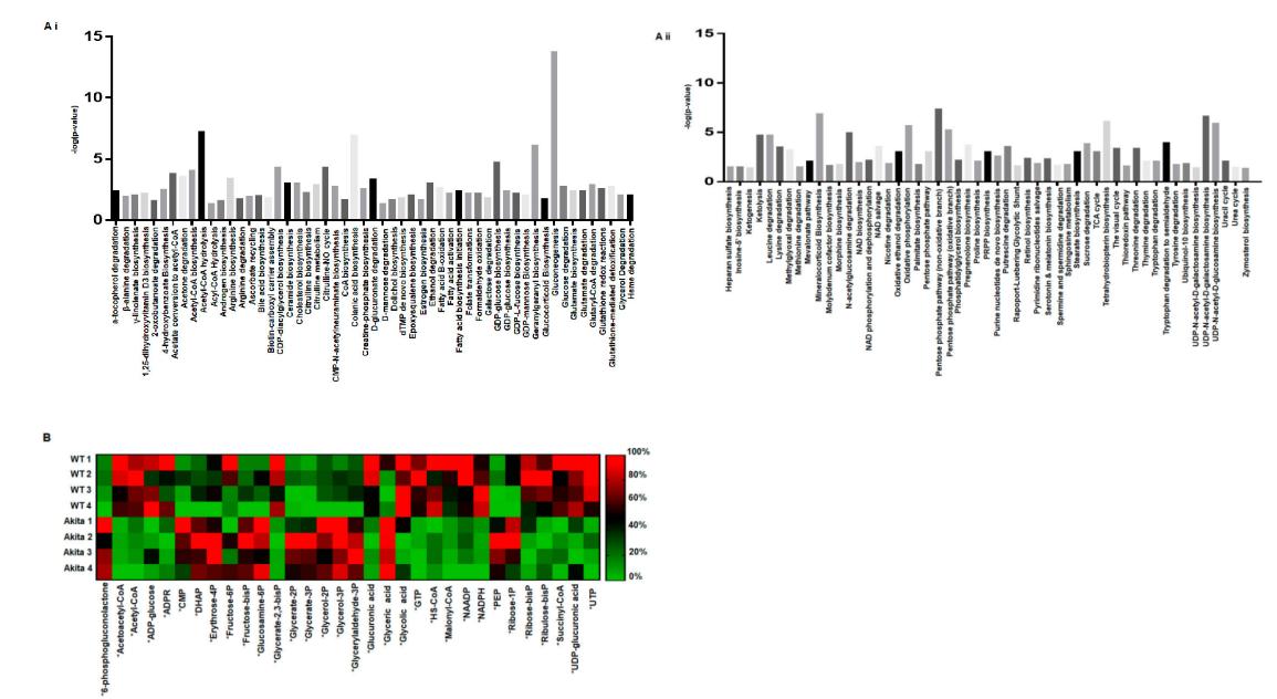 LC-MS metabolomics analysis of Akita compared to WT hearts.