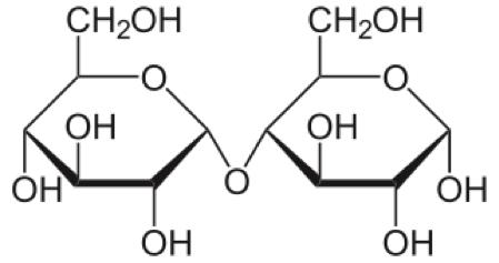 Structure of maltose