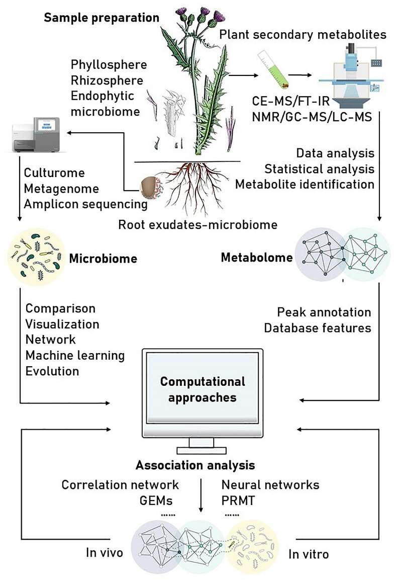 Reference of schematic workflow for plant secondary metabolomics-microbiome discovery projects