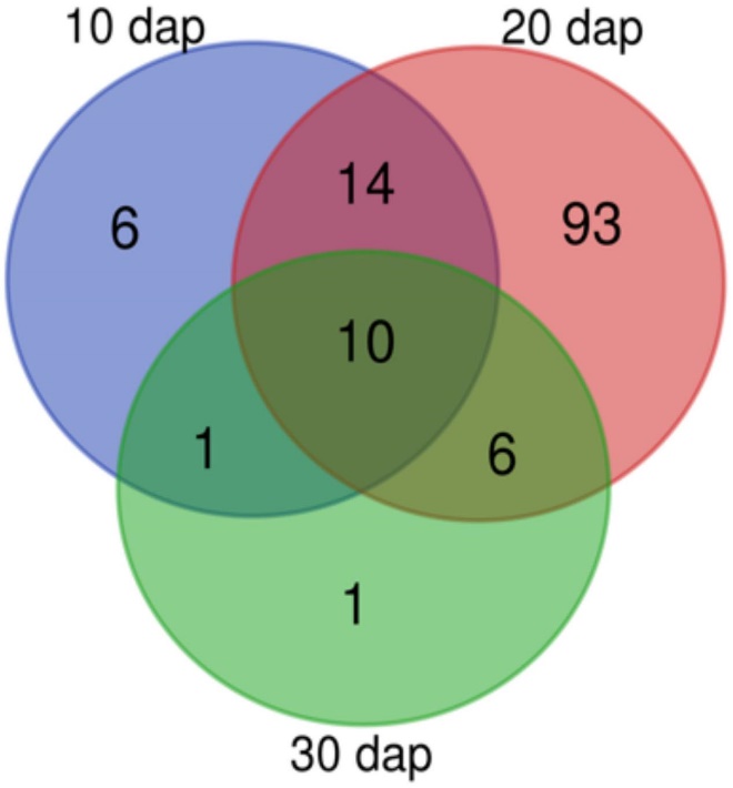 Tomato rhizodeposition varies with time.