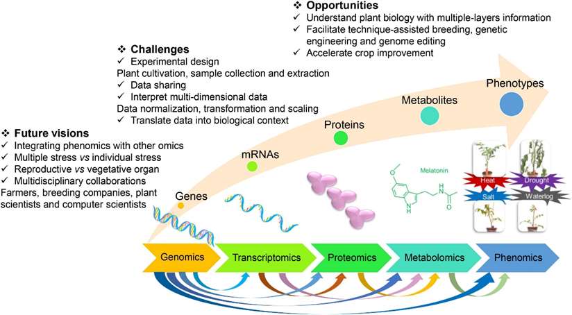 The opportunities, challenges, and future visions for crop improvement by integrating multiomics techniques