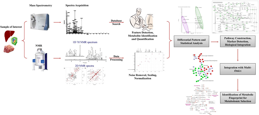 Workflow for application of metabolomics on genetic selection of animals