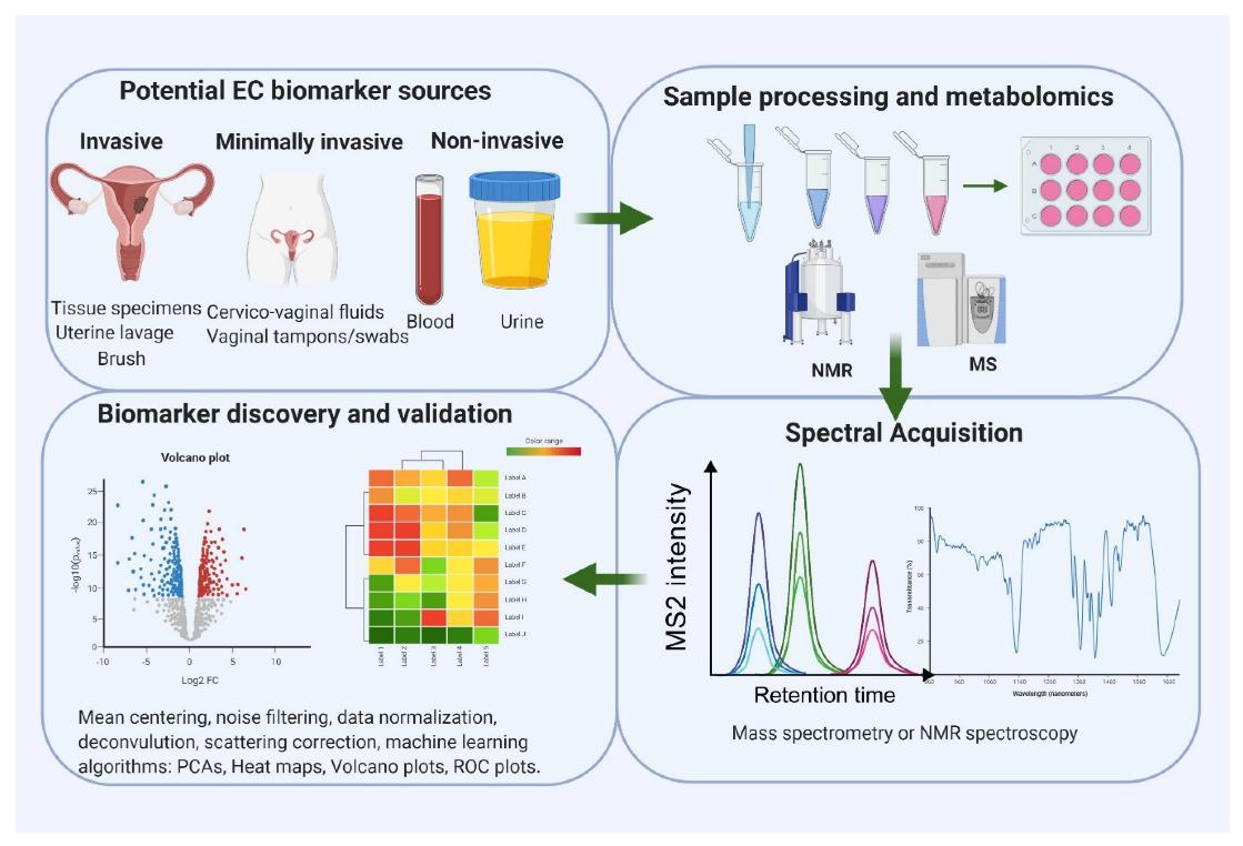 An overview of a typical workflow for endometrial cancer metabolomic biomarker research