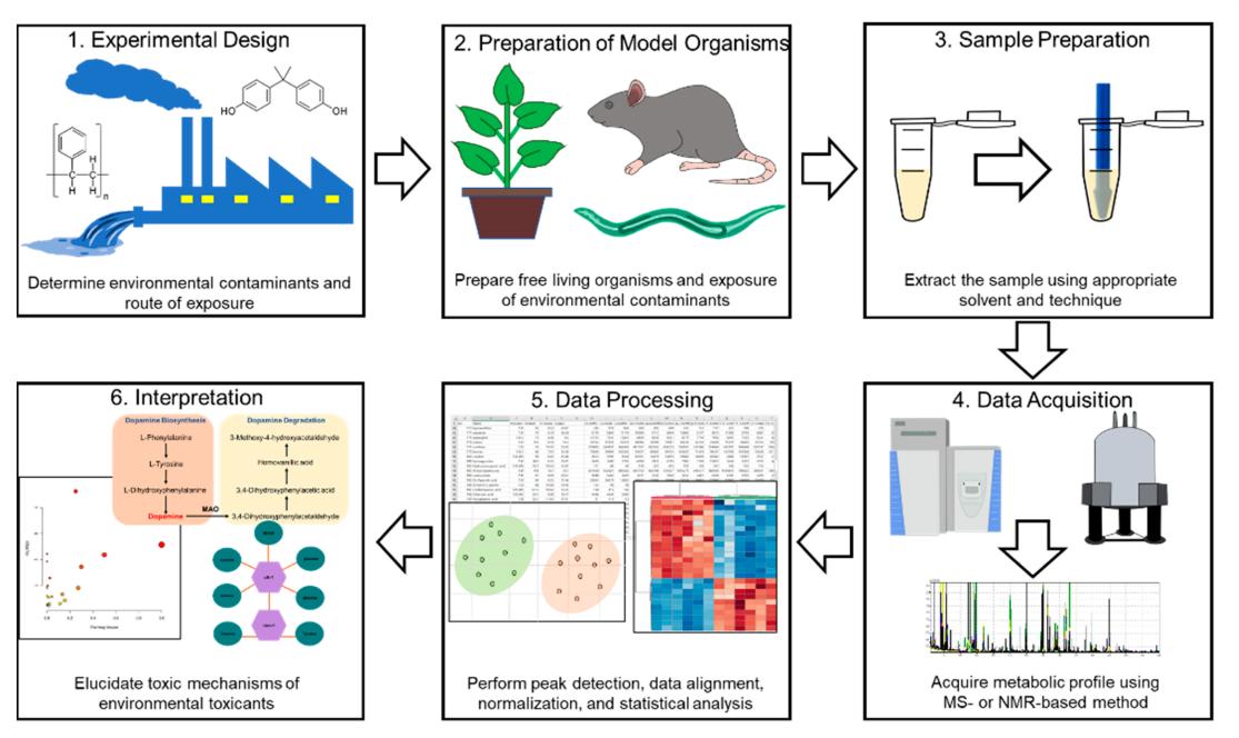 Representative workflow of environmental metabolomics