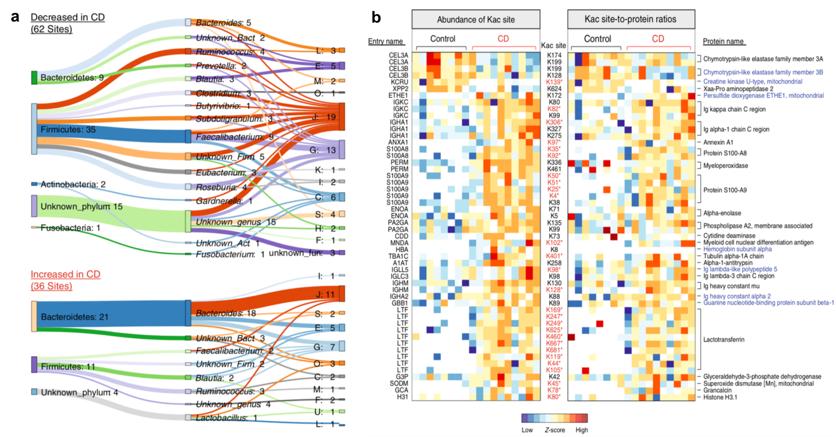 Metaproteomics Service