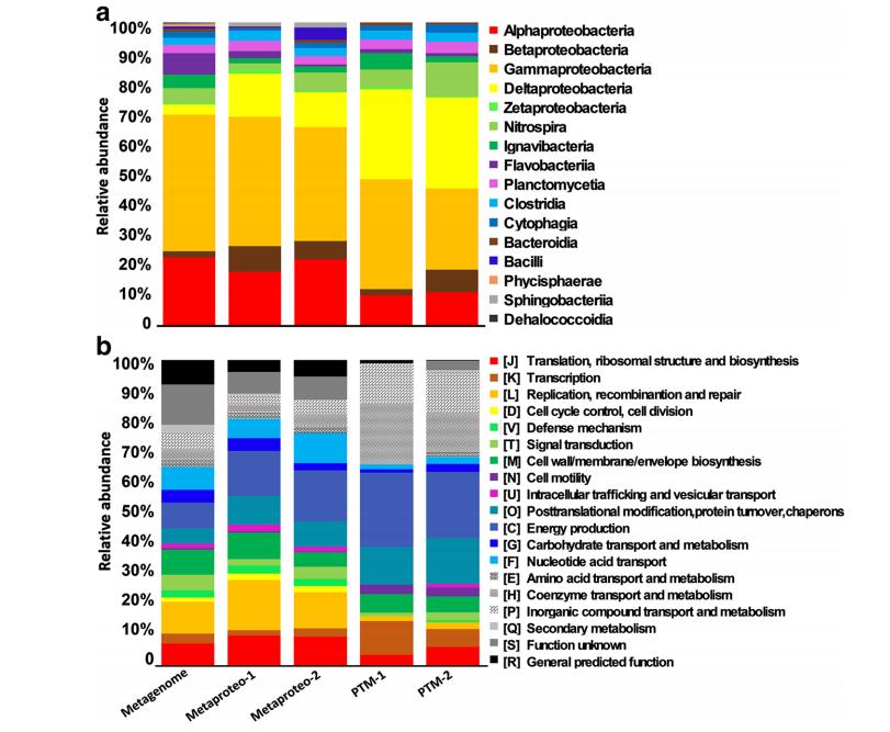 Metaproteomics Service