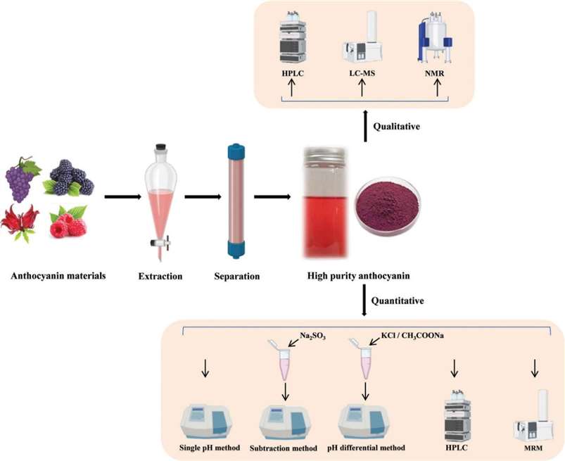 Qualitative and quantitative methods to evaluate anthocyanins