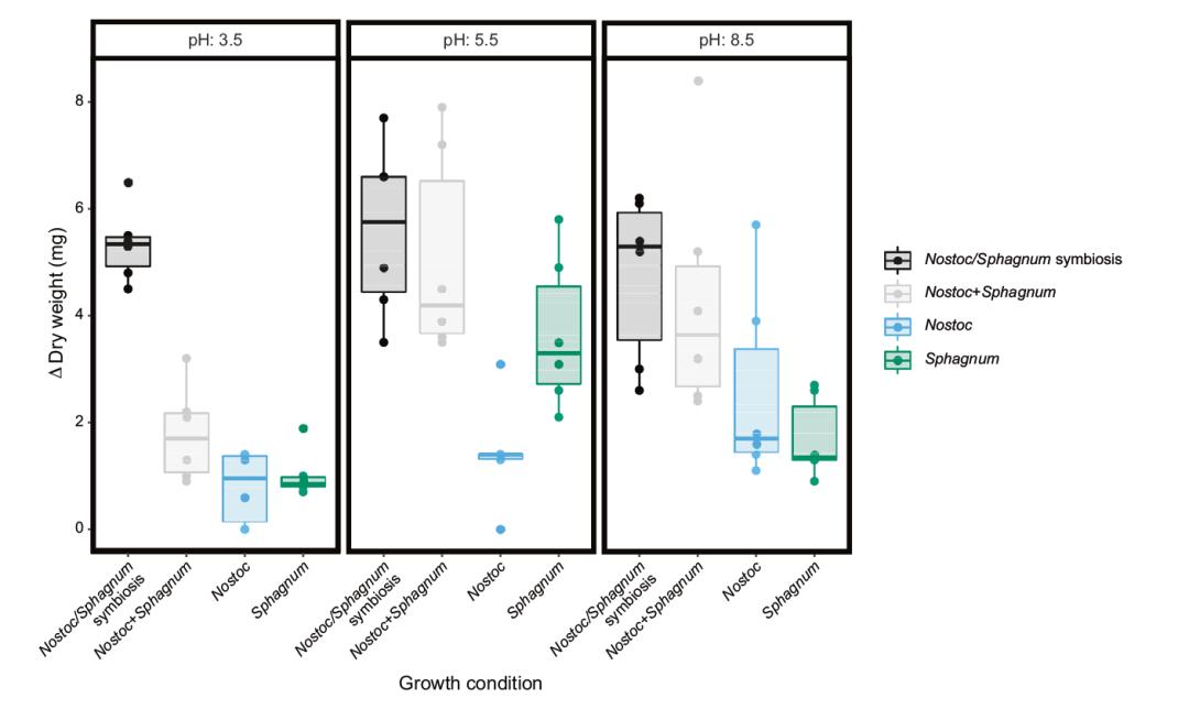 Multi-Omics Approach to Investigate the Symbiotic Relationship between Sphagnum Moss and Nostoc Cyanobacteria