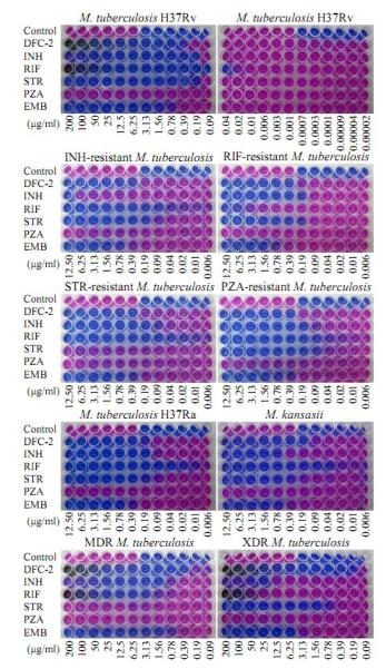 Comparison of DFC-2 and control drugs for antitubercular activity against M. tuberculosis strains and drug-resistant mycobacteria.