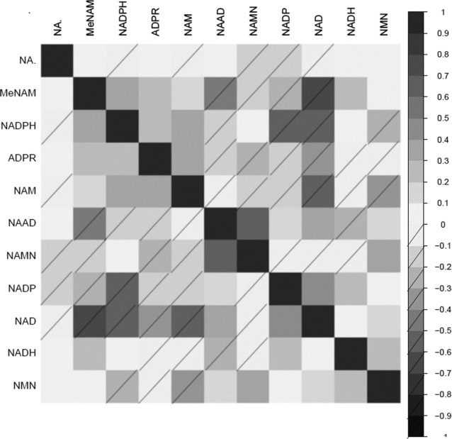 Correlation matrix of NAD+ metabolites with each other ordered by hierarchical clustering to group together the correlated NAD+ metabolite.