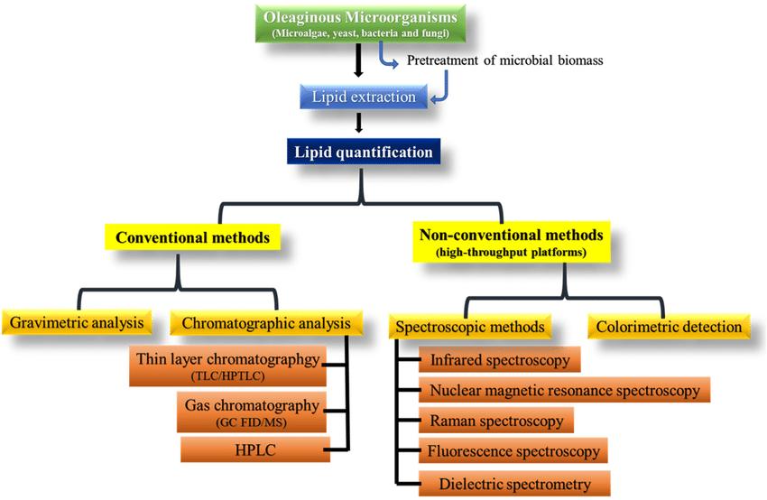 Schematic diagram of lipid quantification by conventional and non-conventional methods