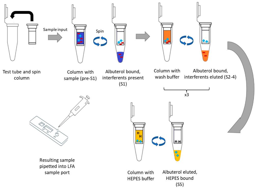 Illustration of spin column method for simple buffer exchange of pharmacological agents leveraging commercially available cation-exchange columns