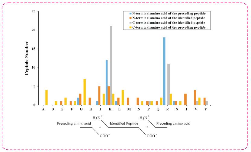 Figure 1: Cleavage Sites in Differentially Expressed Peptides