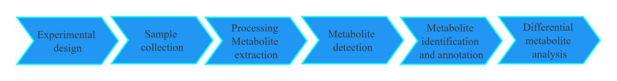 Workflow Of Widely Targeted Metabolomics