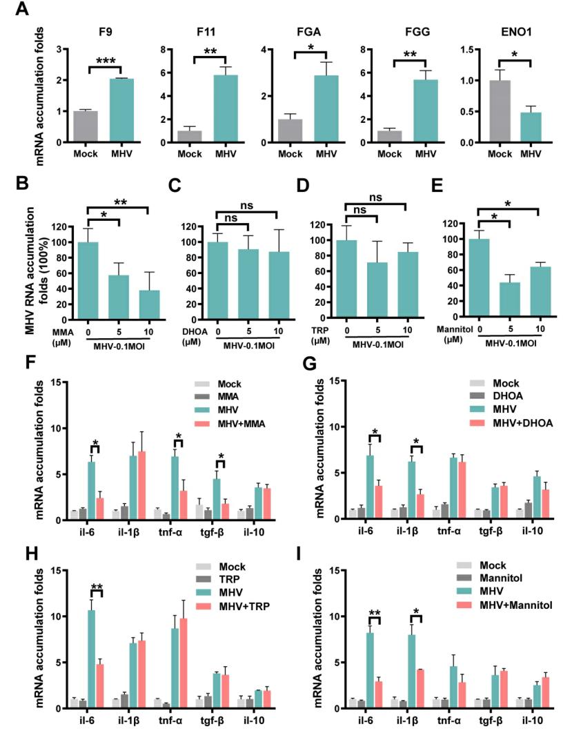 (Figure 4)