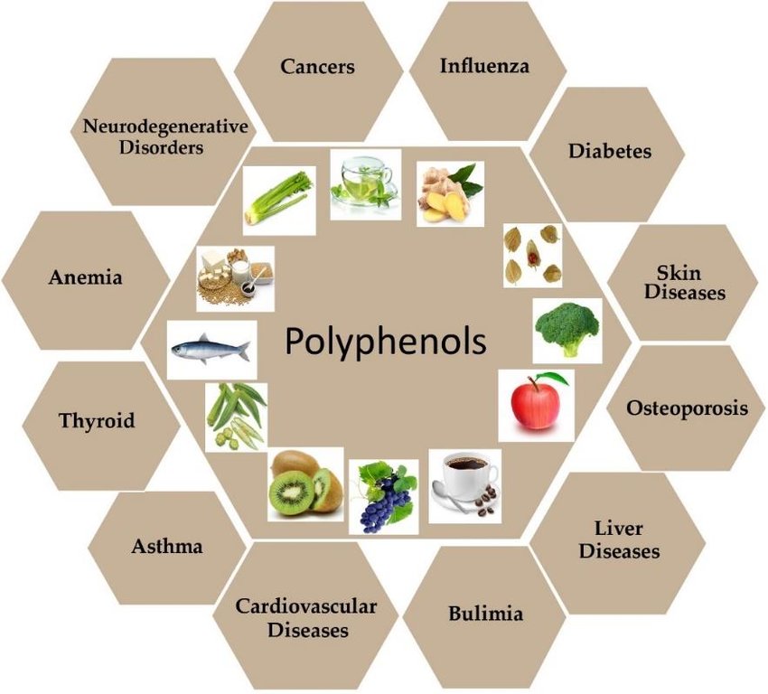 Health benefits effect of dietary polyphenols