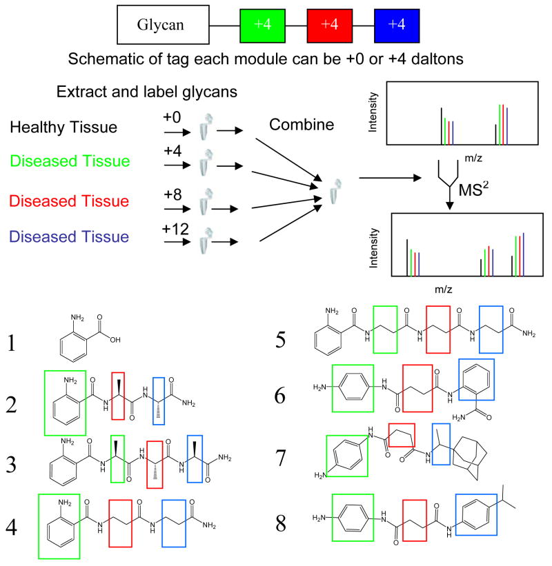 Principles and Characteristics of Isotope Labeling