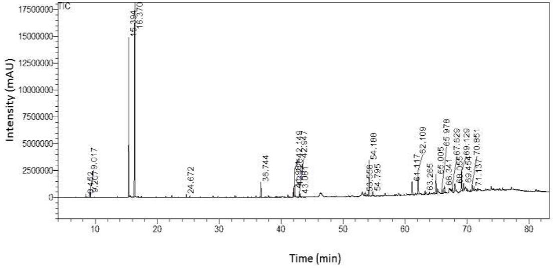 Total ion chromatogram (TIC) illustrating the chemical constituents in the fixed oil extracted from the leaves of cultivated Leonotis nepetifolia.