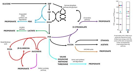 Propanoic Acid: Properties, Production, Applications, and Analysis