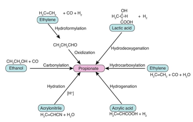 Paths for propionic acid chemical synthesis