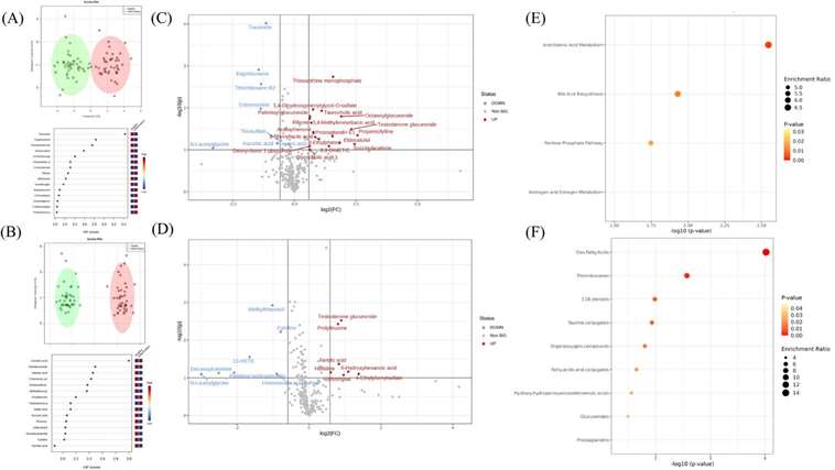 Serum metabolome profile comparing health phenotypes (healthy vs. inflammatory), highlighting differences relative to the inflammatory phenotype.