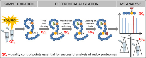 Alkylation-based proteomics methods