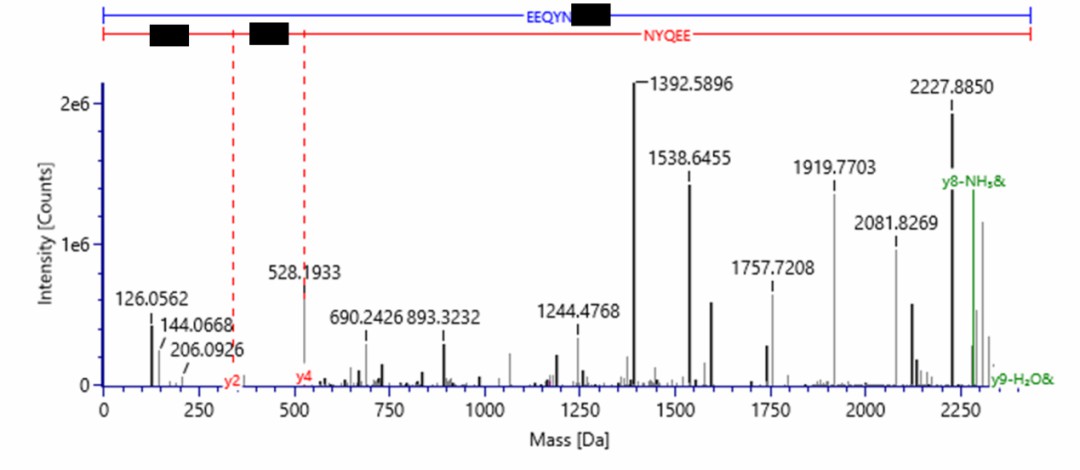 Sample Glycosylation Modified Peptide Information