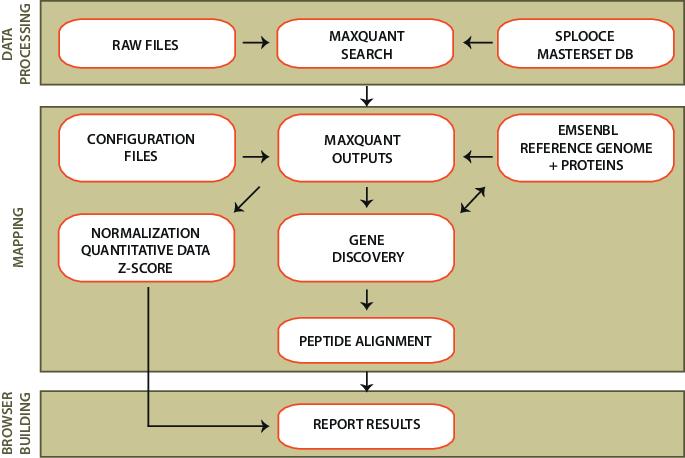 Bioinformatics workflow