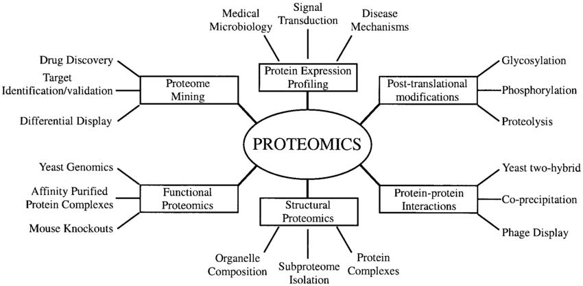 Types of proteomics and their applications to biology