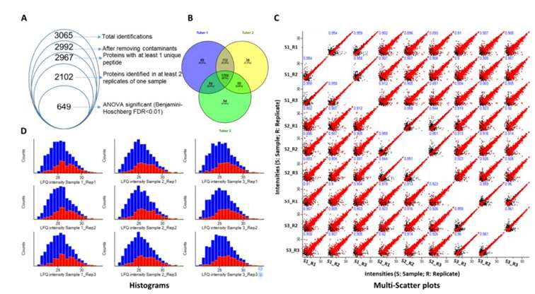 Figure 1. Overview of Proteomic Differences in Three Different Jerusalem Artichoke (JA) Tubers (1, 2, 3)