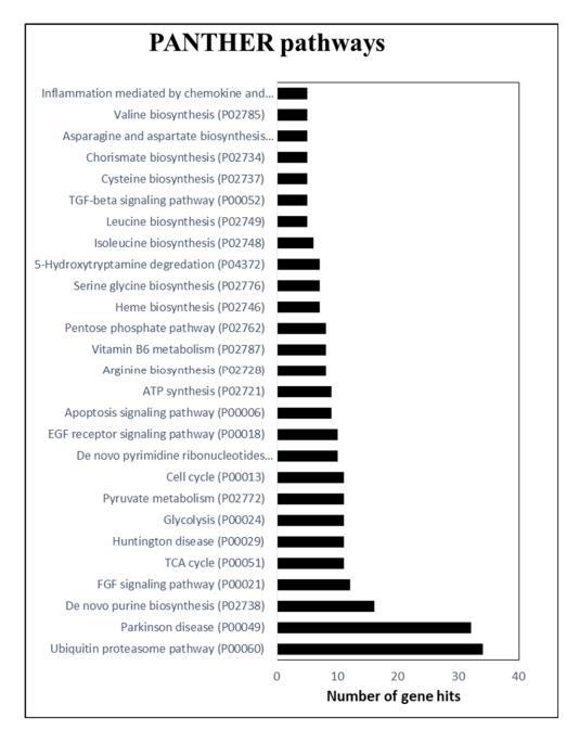 Figure 3. GO Pathway Analysis of Tubers Proteome Using PANTHER Tool