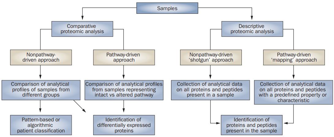 Overview of the main strategies employed in proteomic studies