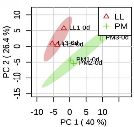 Principal Component Analysis (PCA)