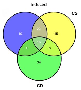 Venn Diagram