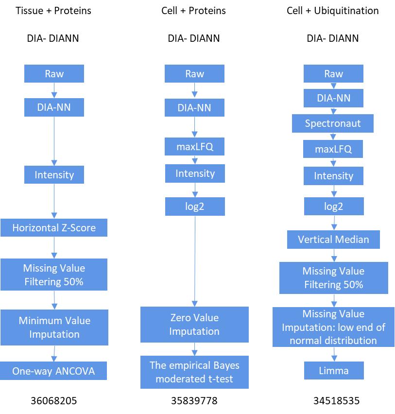 Figure 2. Data preprocessing workflow for DIA-NN database search strategy.