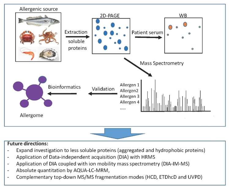 Proteomics in Food Science: Advancing Quality, Safety, and Processing Optimization