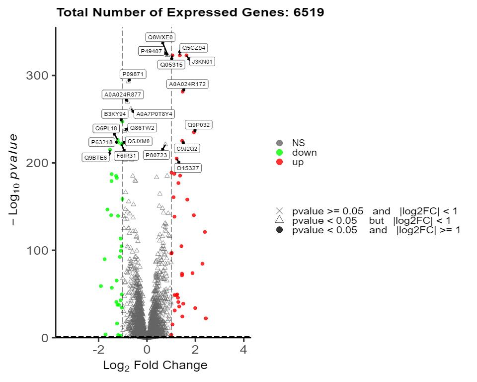 Volcano plot showing differentially expressed proteins.