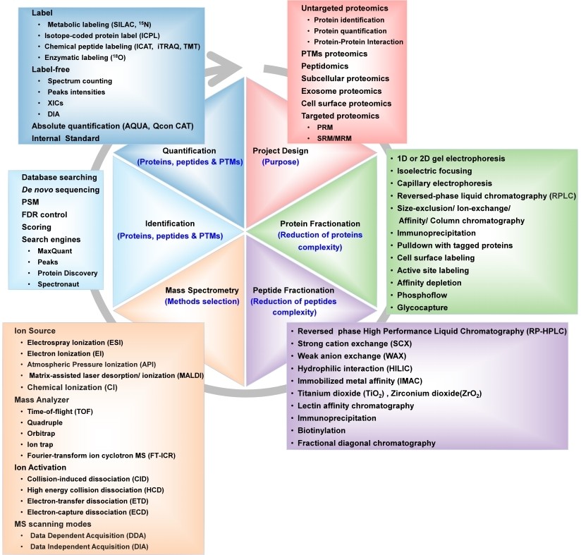 Proteomics Service