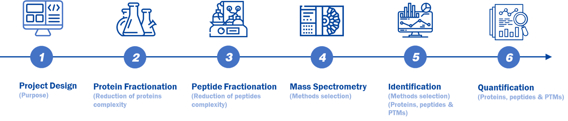 Workflow of our proteomics services