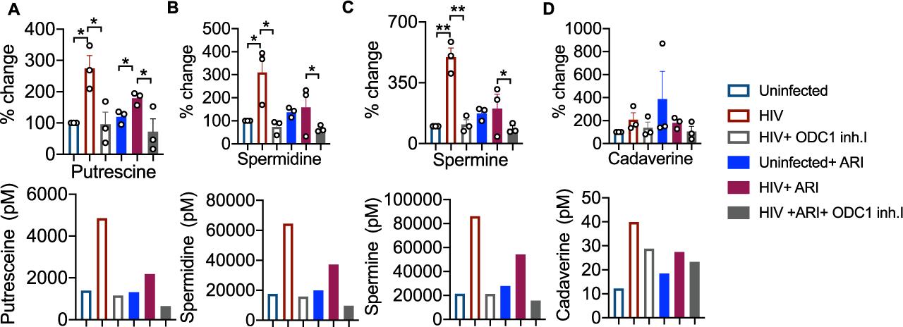 Levels of putrescine, spermidine, spermine, and cadaverine in HIV-infected HTOC CD4+ T cells, with ARI and ODC-1 inhibitor I treatments, compared to uninfected controls. Data include means with error bars from three experiments and individual replicate points. Significant differences are indicated by P values.