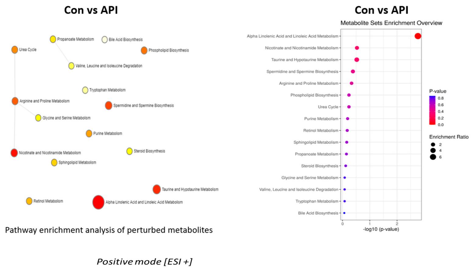 Graph depicting the metabolic pathways significantly altered in MEFs treated with apigenin as analyzed in positive ion mode.