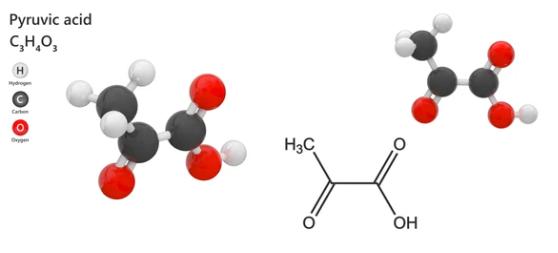 Pyruvic Acid: Roles, Sources, Applications, and Analysis Methods