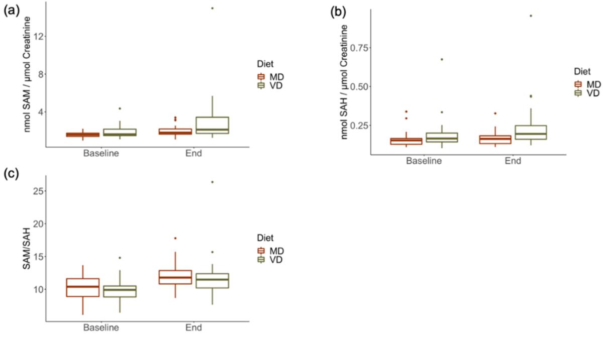 Line chart showing changes in urinary concentrations of SAM, SAH, and the SAM ratio (SAM/SAH) in healthy subjects during a 4-week intervention with vegan (VD) and meat-rich (MD) diets in an RCT.