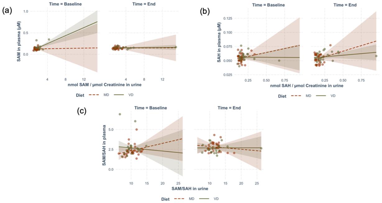 Scatter plot showing the multiple linear regression analysis of systemic (plasma) and excreted (urinary) SAM and SAH concentrations, and their SAM